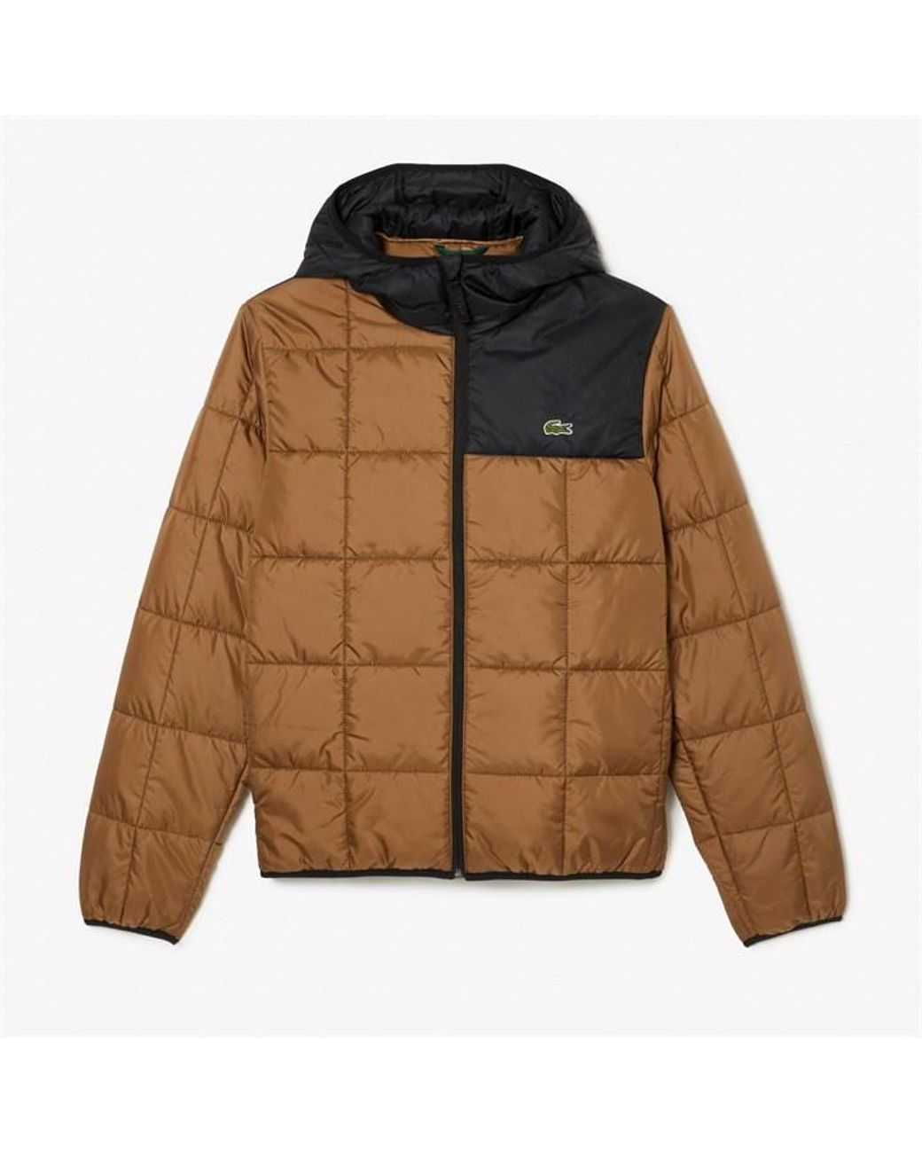 Lacoste colour deals block padded jacket