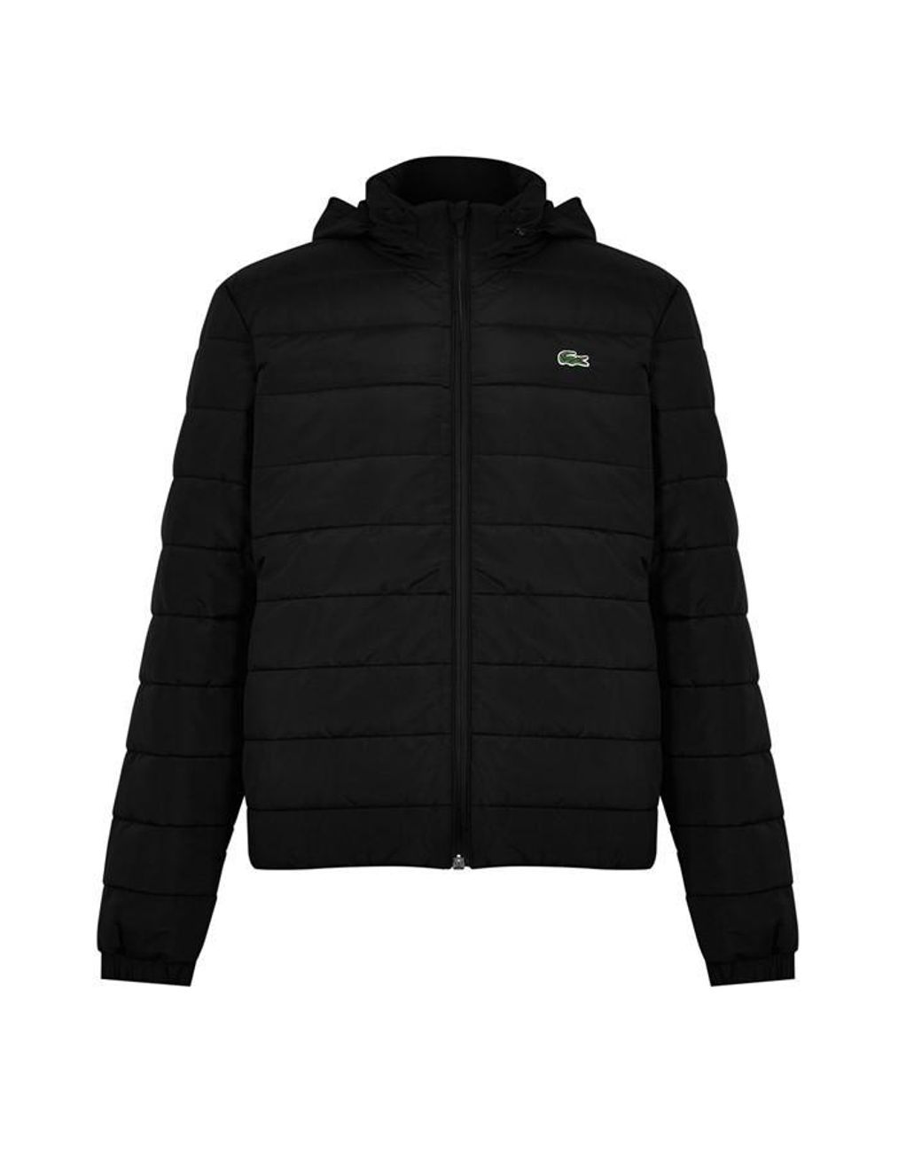 Usc best sale lacoste hoodie