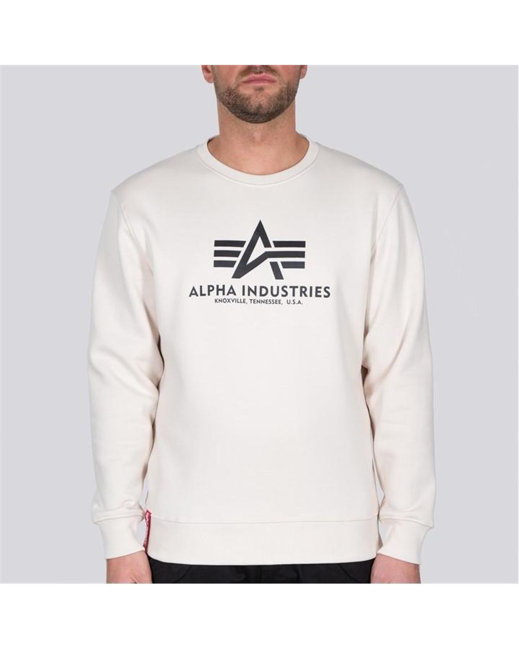 Alpha Industries Alpha Basc Sweat Sn34 in Natural for Men | Lyst UK