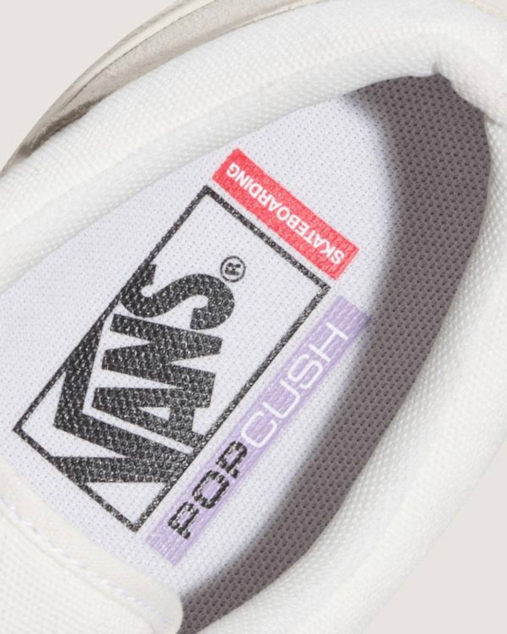 Vans Natural Skate Era Stub Shoes for men