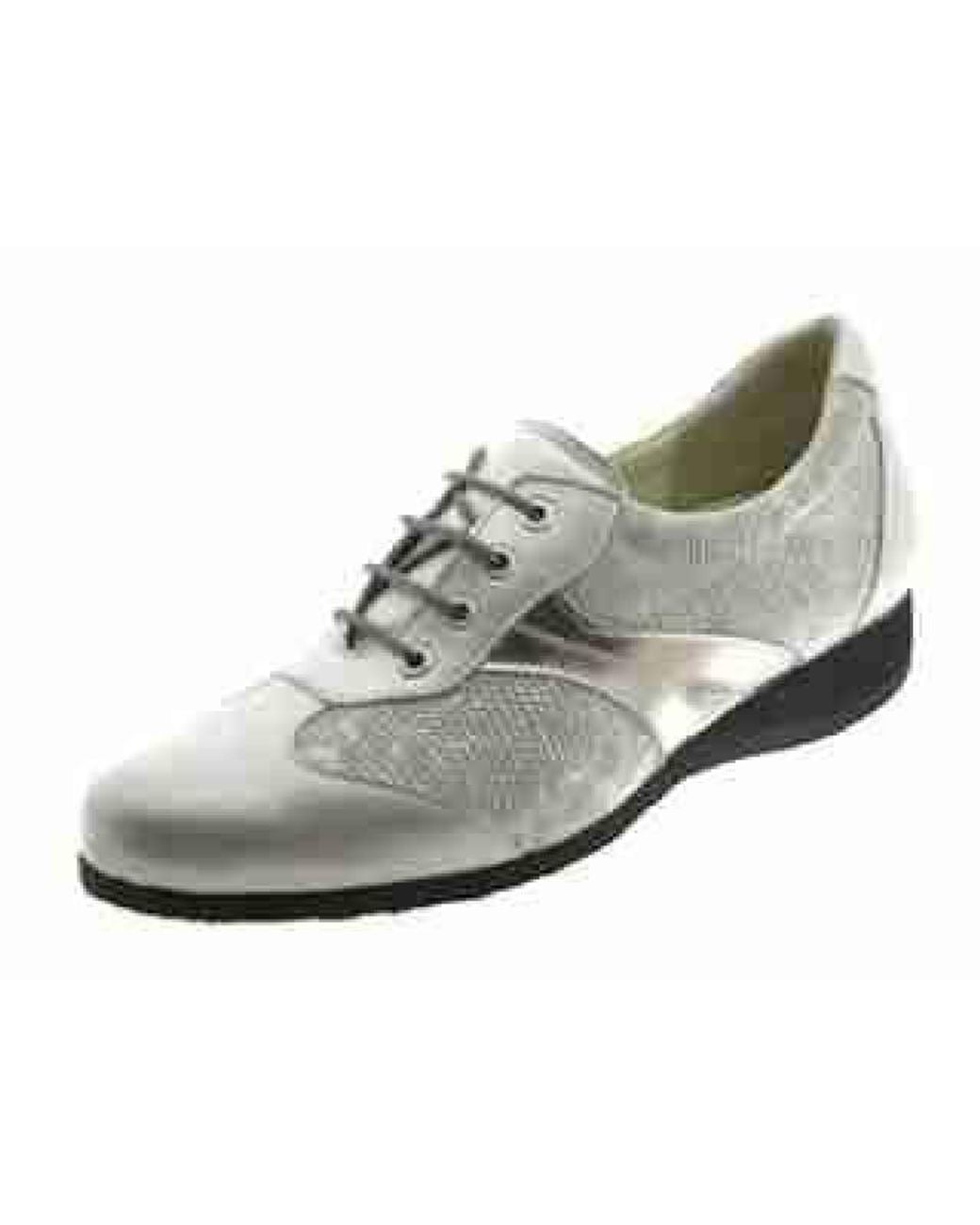 Schneiders 326-419C in het Gray