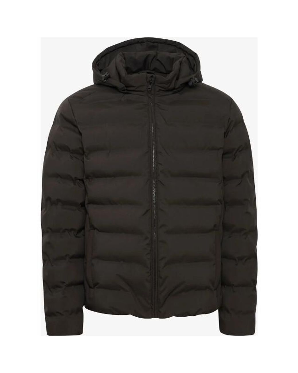 Solid Solid Sdmilas 21108307 194008 True in het Brown voor heren