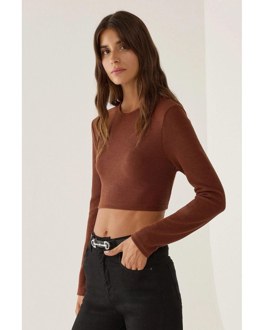 Hiccup Brown Slim Fit Crop Top