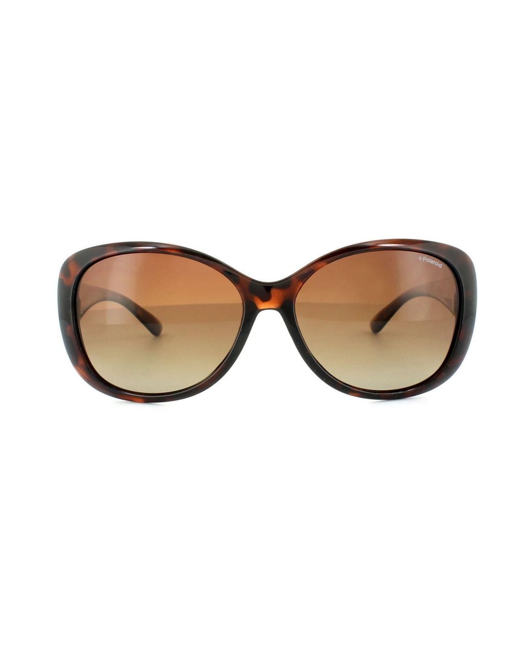 Polaroid Brown Sunglasses P8317 0Bm La Havana Gradient Polarized