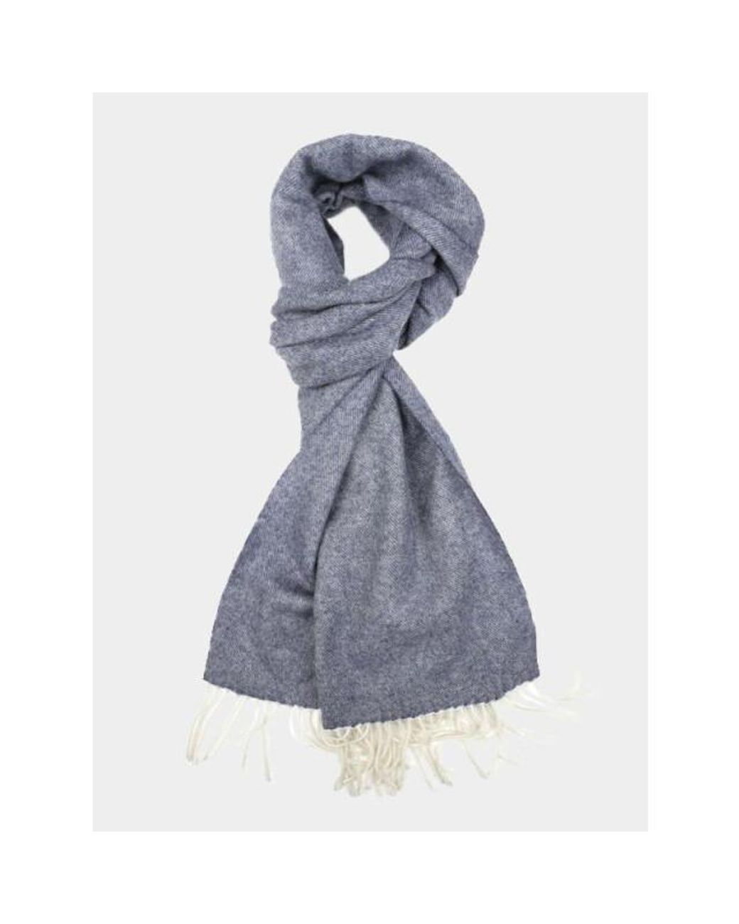 Profuomo Shawl Ppss30001D/4 in het Blue voor heren