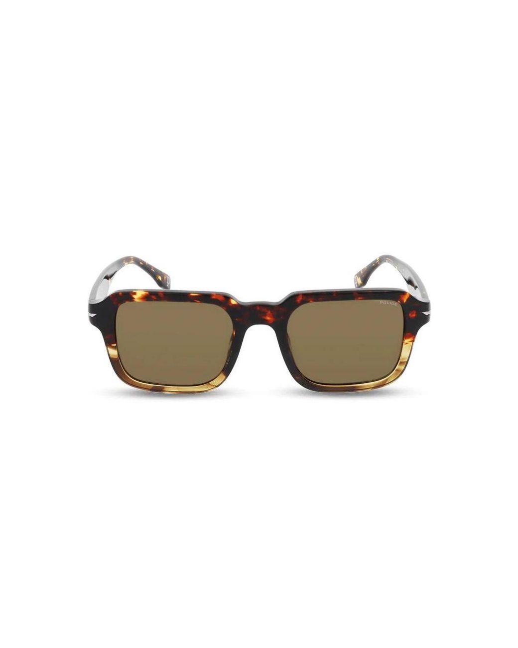 Police Brown Acetate Sunglasses for men