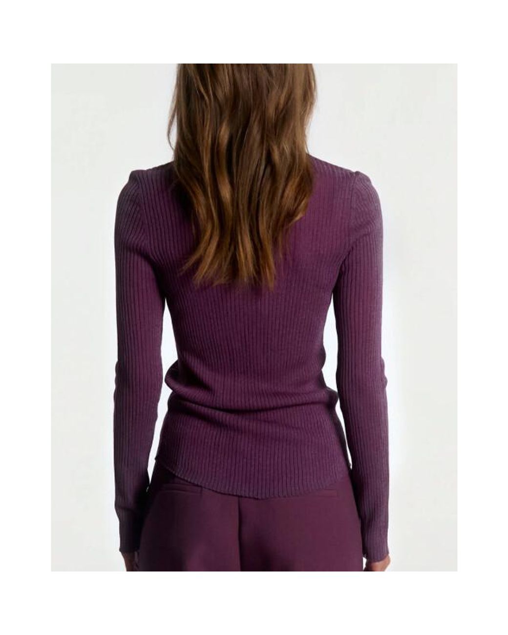 Aaiko Pullover Polly Vis 305 in het Purple