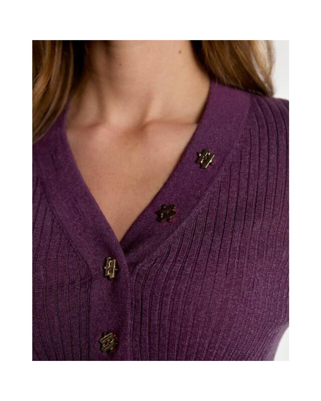 Aaiko Pullover Polly Vis 305 in het Purple