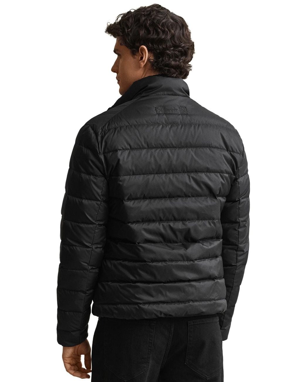 Gant Gewatteerde Jas Regular Fit Dons in het Black voor heren