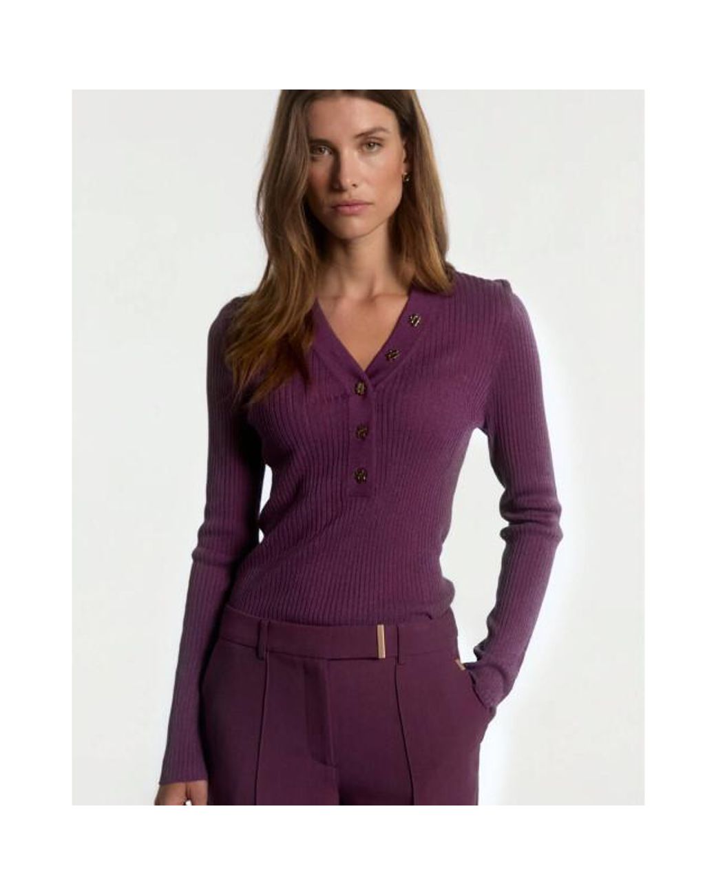 Aaiko Pullover Polly Vis 305 in het Purple
