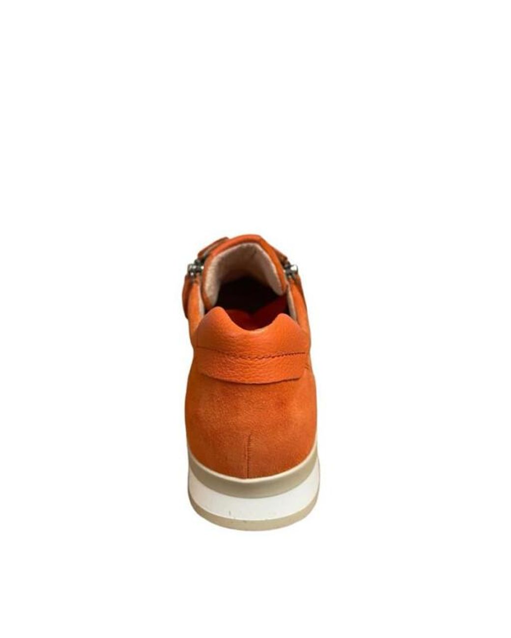 Gabor 43.420 in het Orange