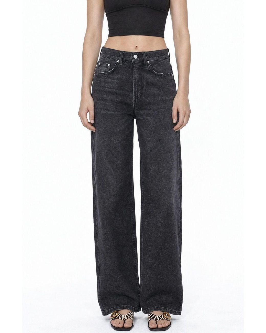 Squalo Blue Cotton Pants
