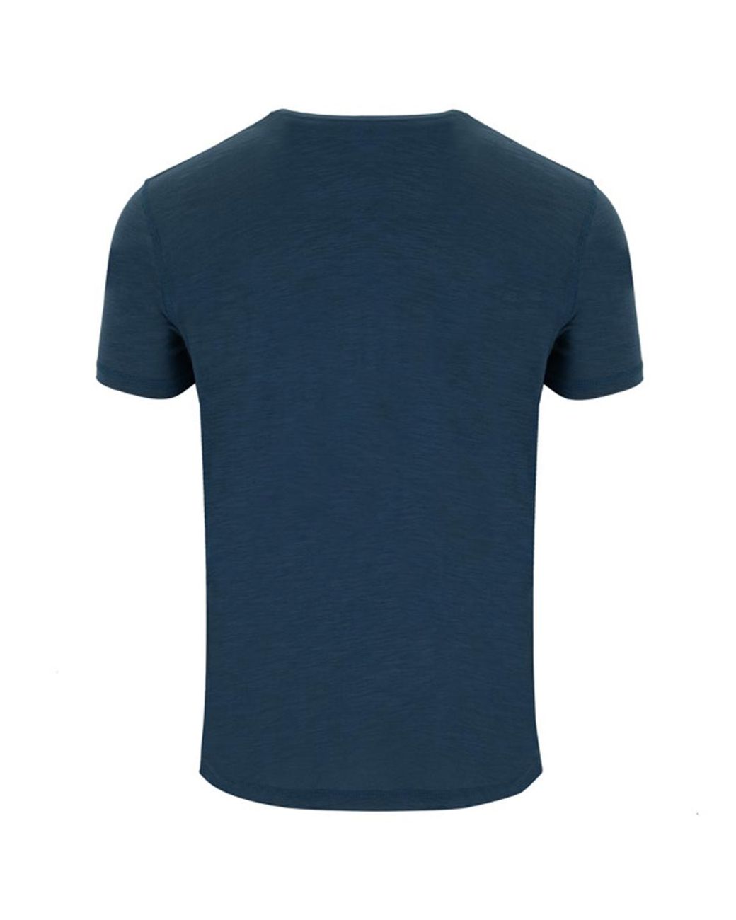 Roly Terrier T-Shirt in het Blue voor heren