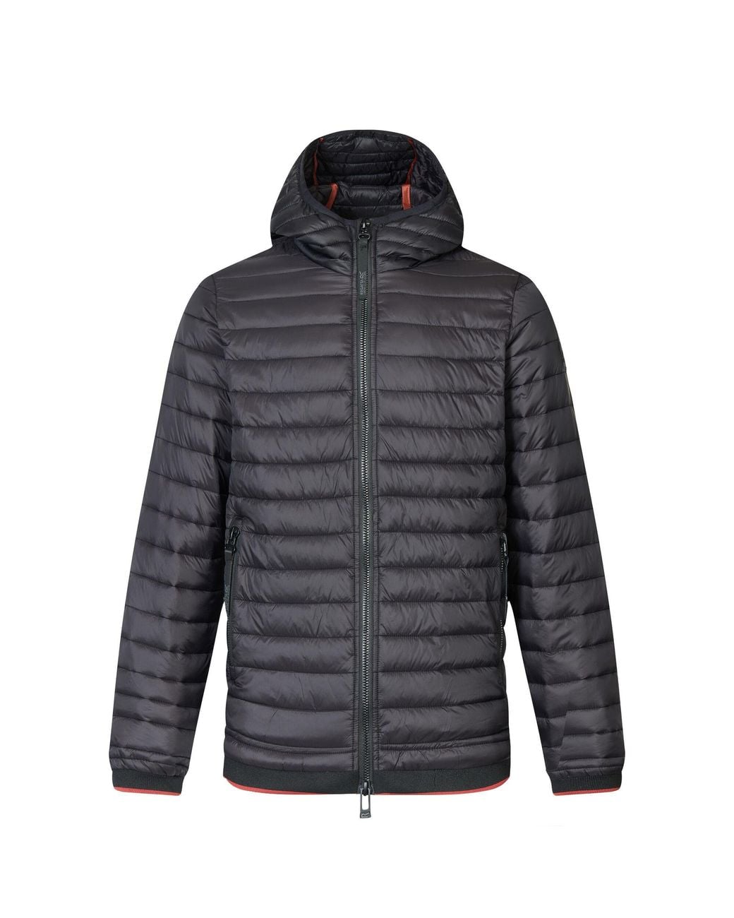 Regatta Gray Haile Padded Jacket for men
