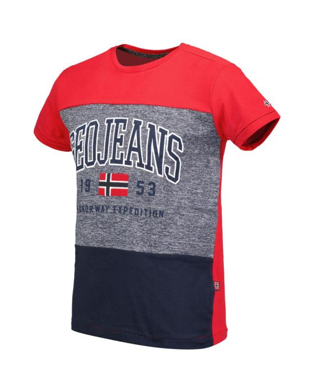 GEOGRAPHICAL NORWAY T-Shirt Jerudico in het Pink voor heren