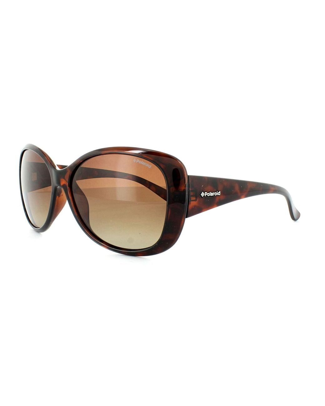 Polaroid Brown Sunglasses P8317 0Bm La Havana Gradient Polarized
