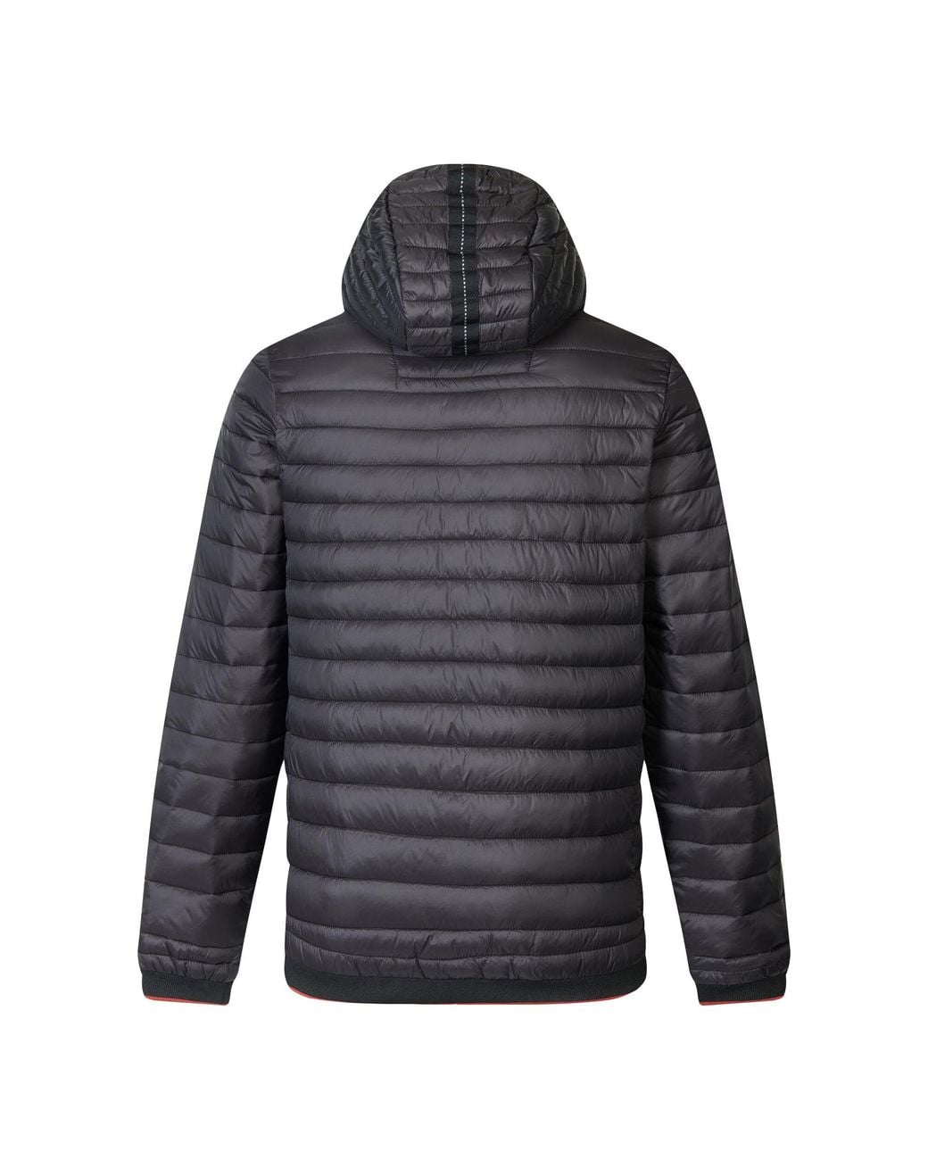 Regatta Gray Haile Padded Jacket for men