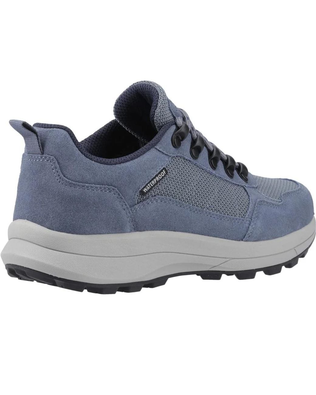 Cotswold Blue Ladies Elmfield Suede Walking Shoes