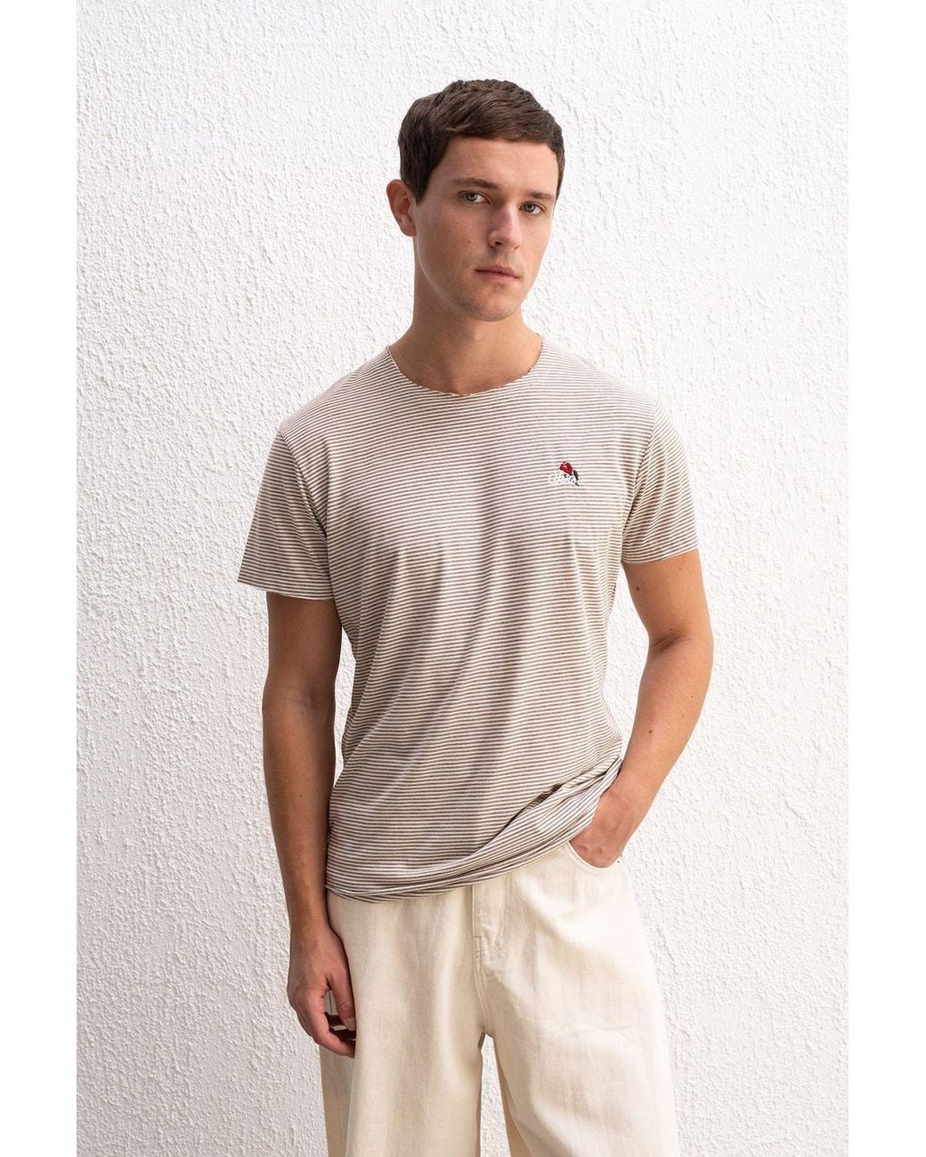 Giesto Brown Striped Crew Neck T-Shirt With Embroidery for men