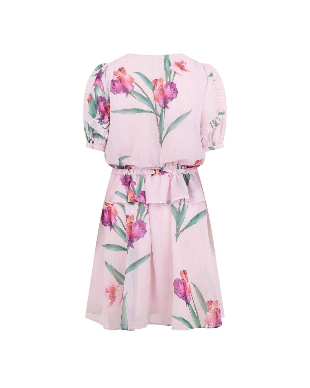 Ted Baker Geweven A-Lijn Mini Jurk in het Pink