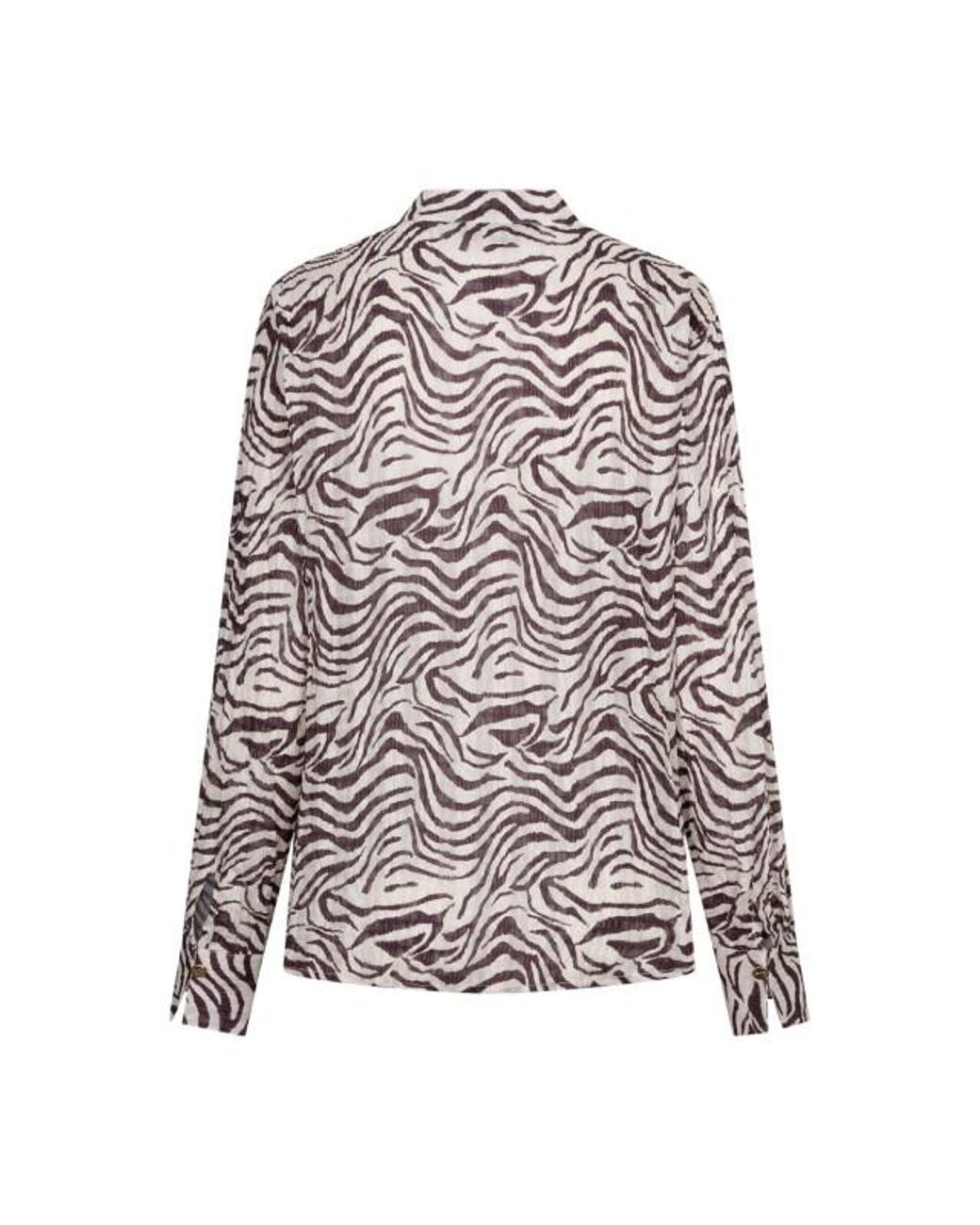 Red Button Rb Zebra Burgundy in het Gray
