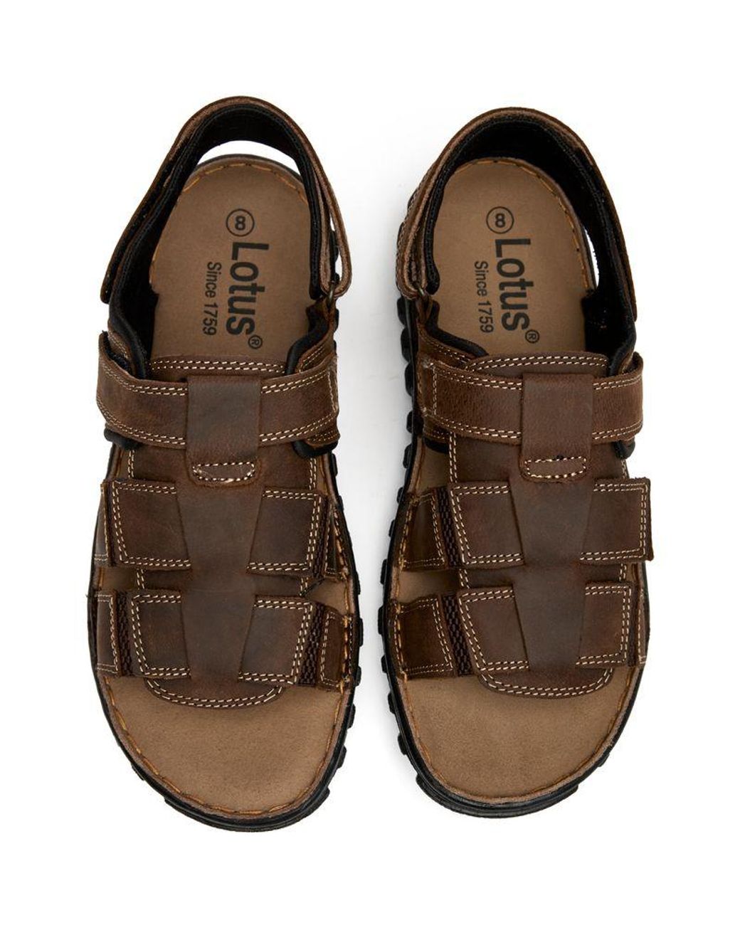 Lotus Boscom Sandalen in Brown für Herren