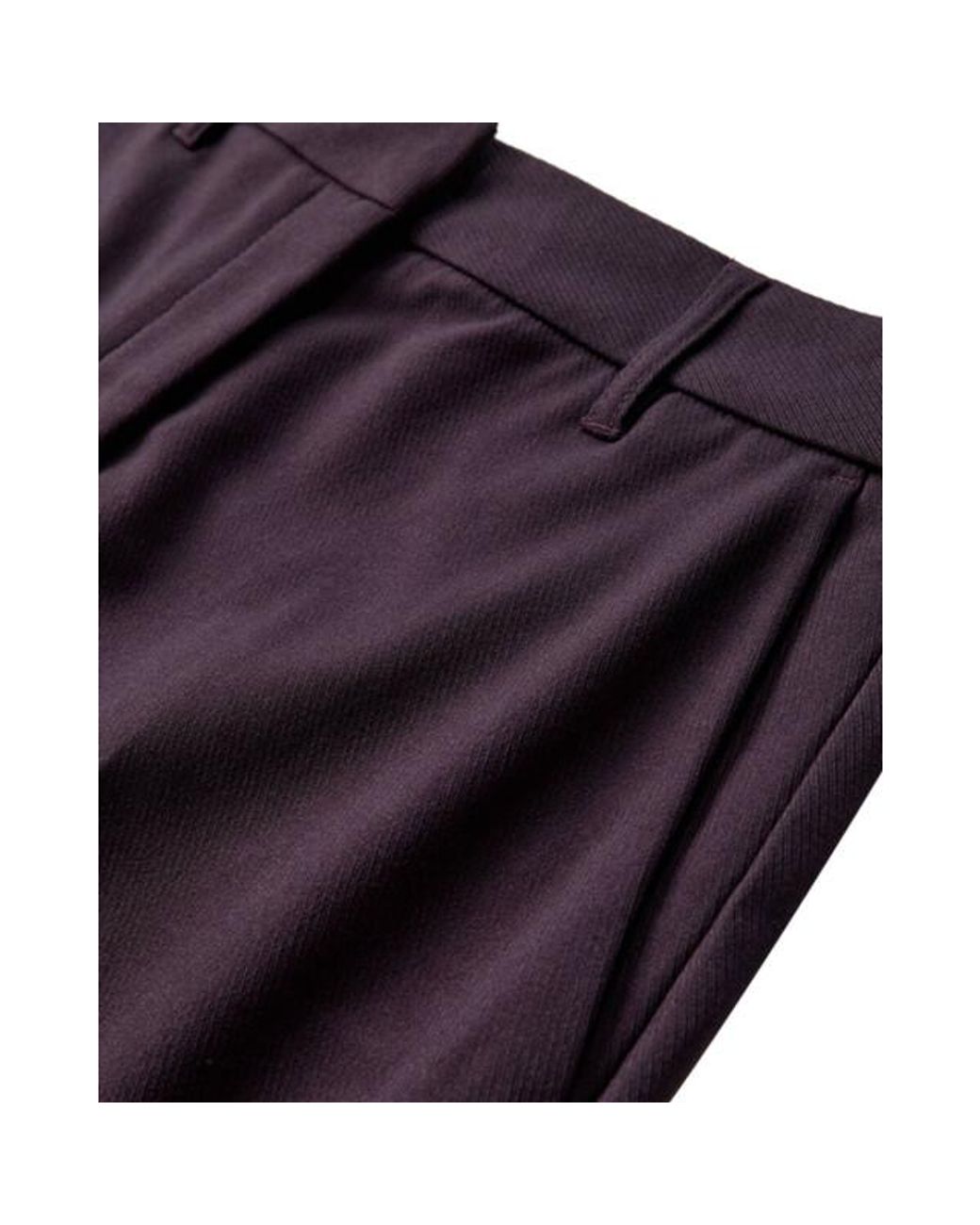 Cph Muse Broek 206642 Cmtailor in het Purple