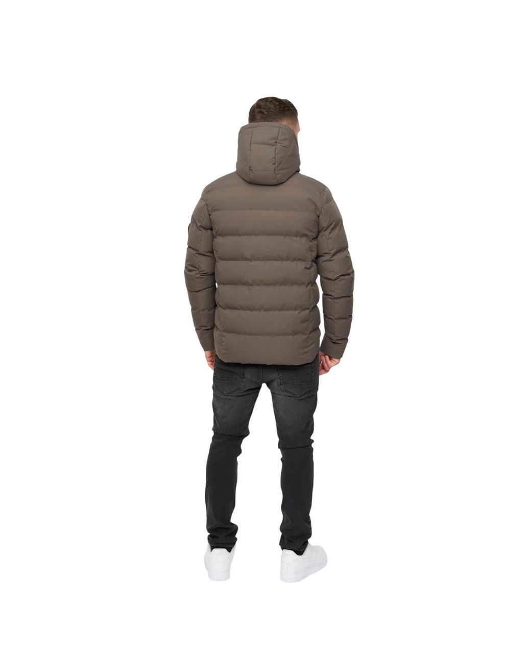 Crosshatch Kampleys Jacket (Gebroken) in het Brown voor heren