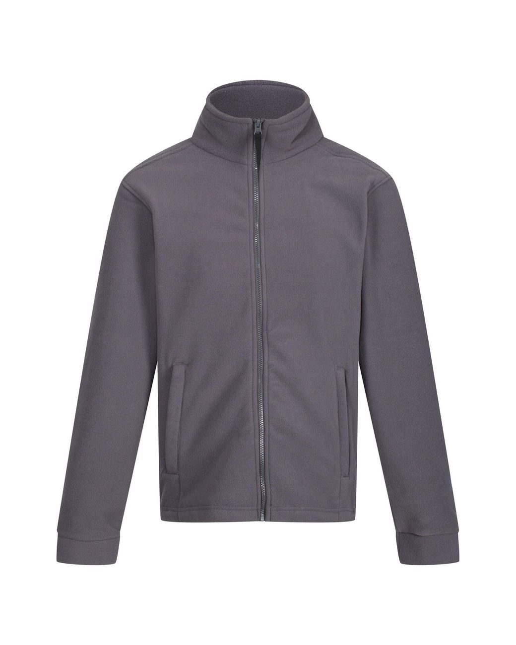 Regatta Gray Professional Thor 300 Fleece Jacket (Seal) for men