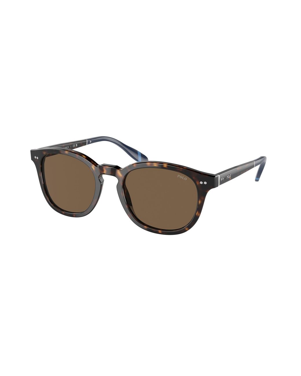 Polo Ralph Lauren Black Ph4206 500373 Sunglasses Acetate Pantos Normal for men
