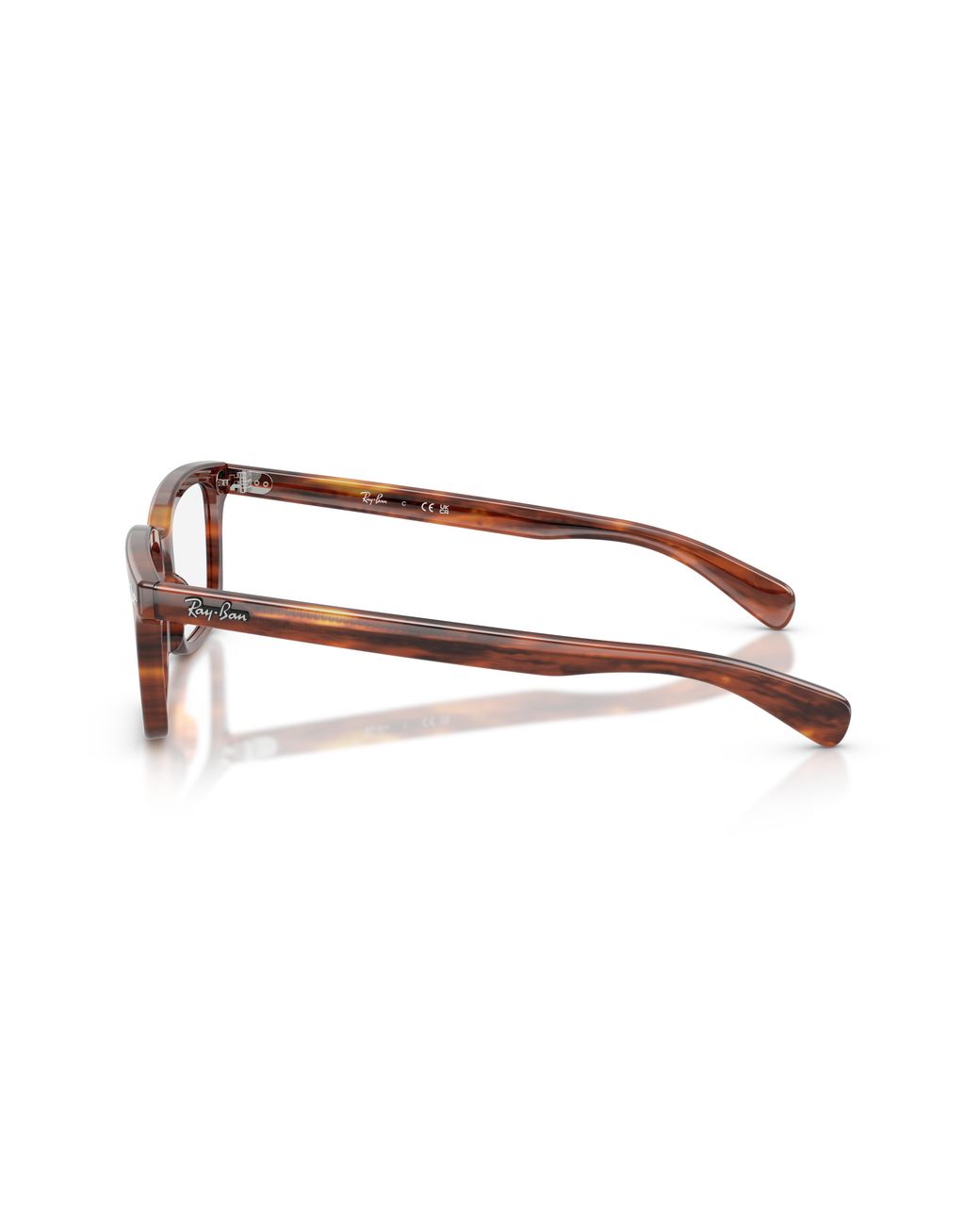 Ray-Ban Black Ray