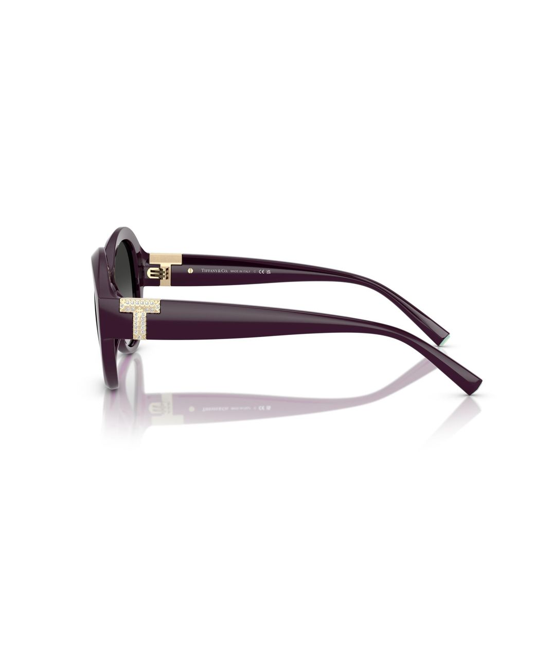 Tiffany & Co Black Tf4227Bu 84273C Sunglasses Injected Round Normal Shaded