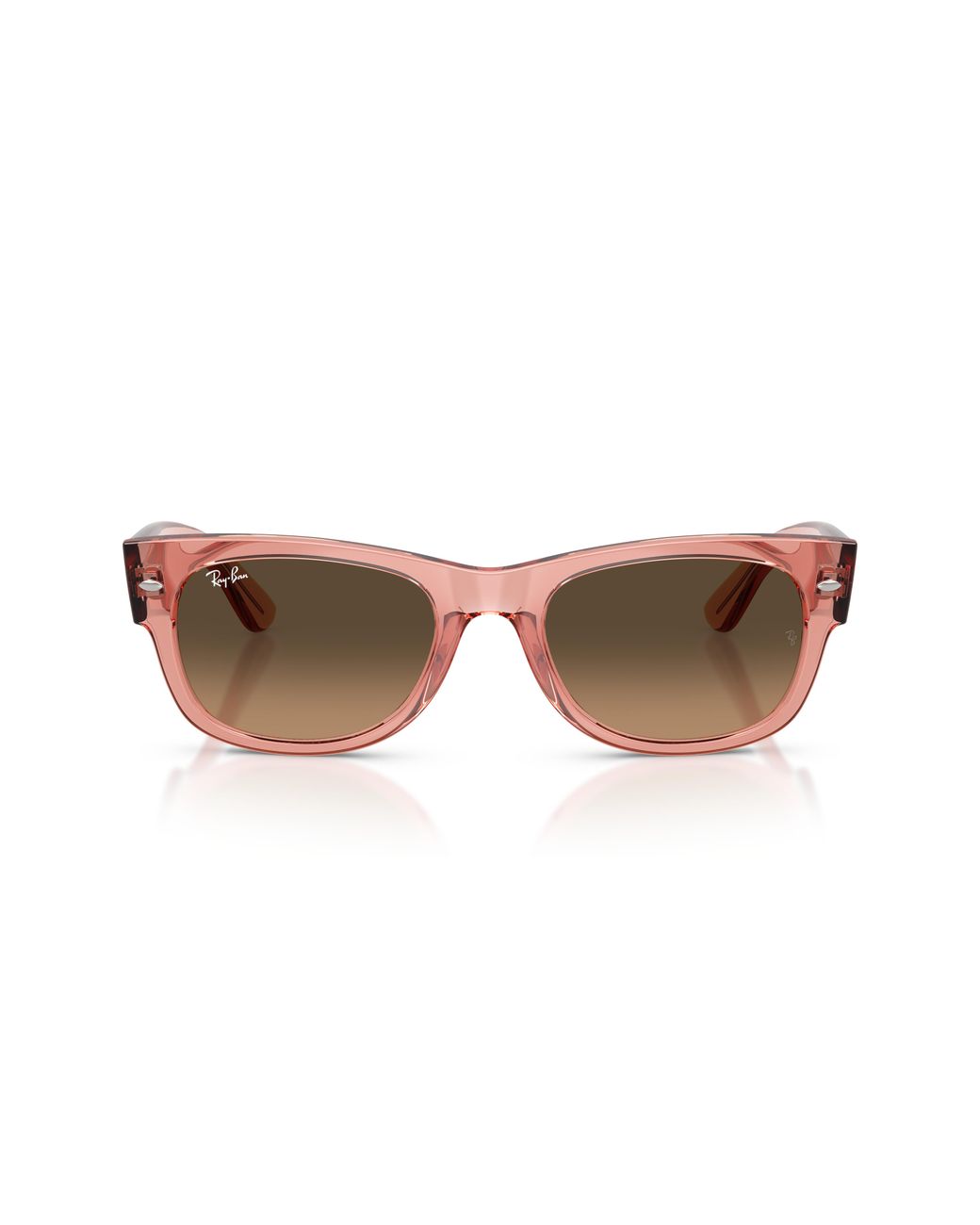 Ray-Ban Black Ray