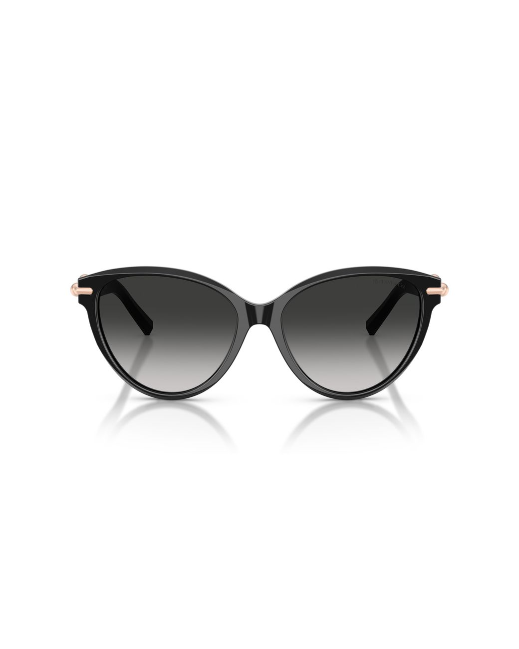 Tiffany & Co Black Tf4261 80013C Sunglasses Acetate Cat Eye Normal Nuanced
