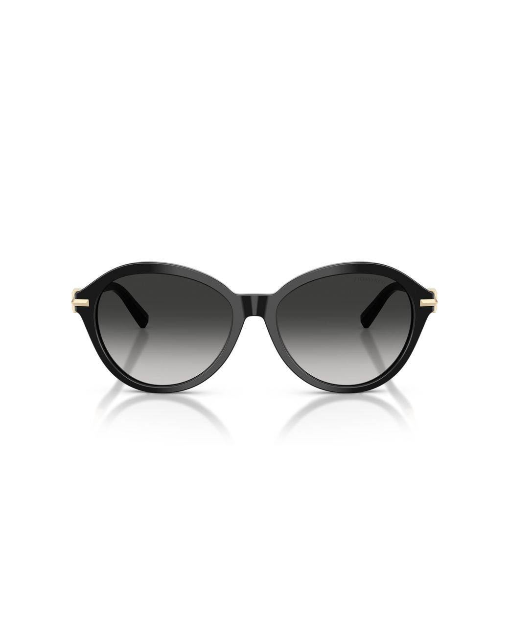 Tiffany & Co Black Tf4259 80013C Sunglasses Acetate Round Normal Nuanced