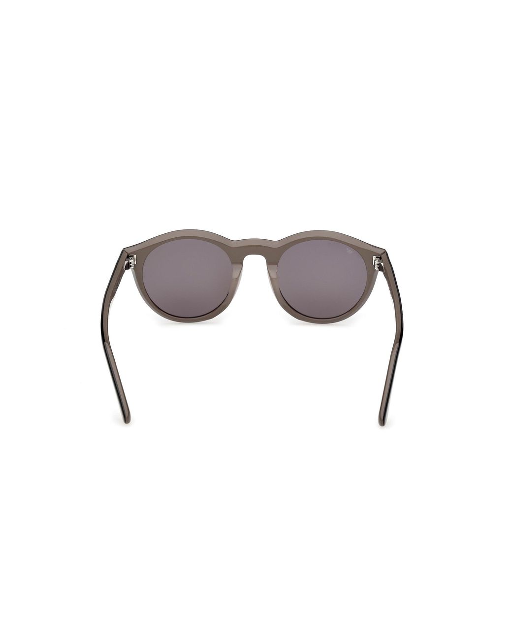 Web Black We0398 05A Sunglasses Acetate Smoke Round Normal for men