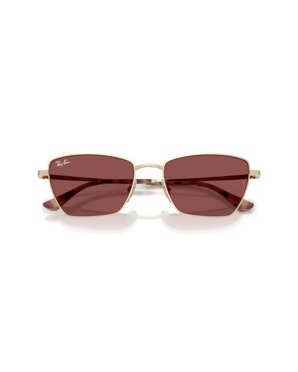 Ray-Ban Black Ray