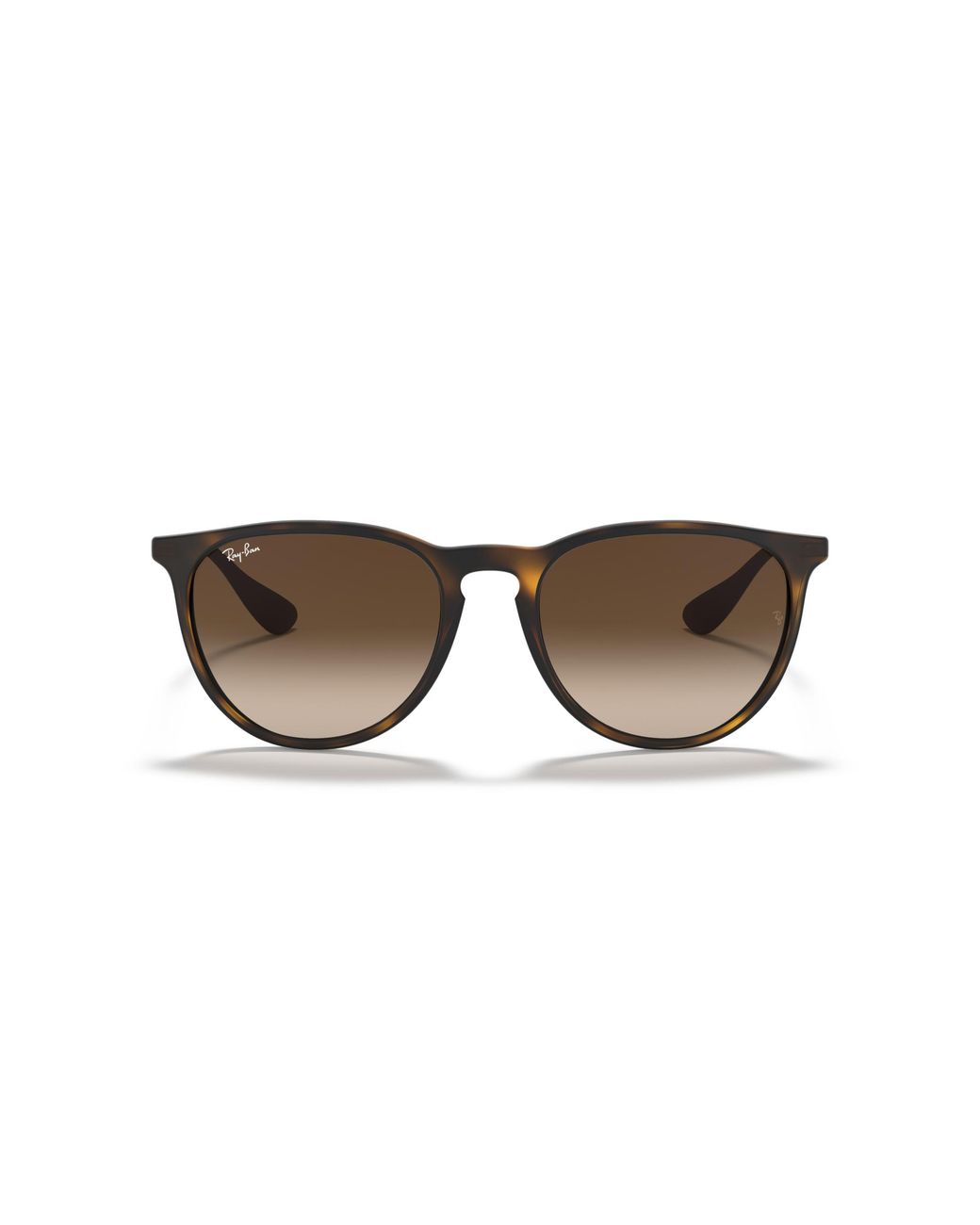 Ray-Ban Black Rb4171 Erika Round Sunglasses