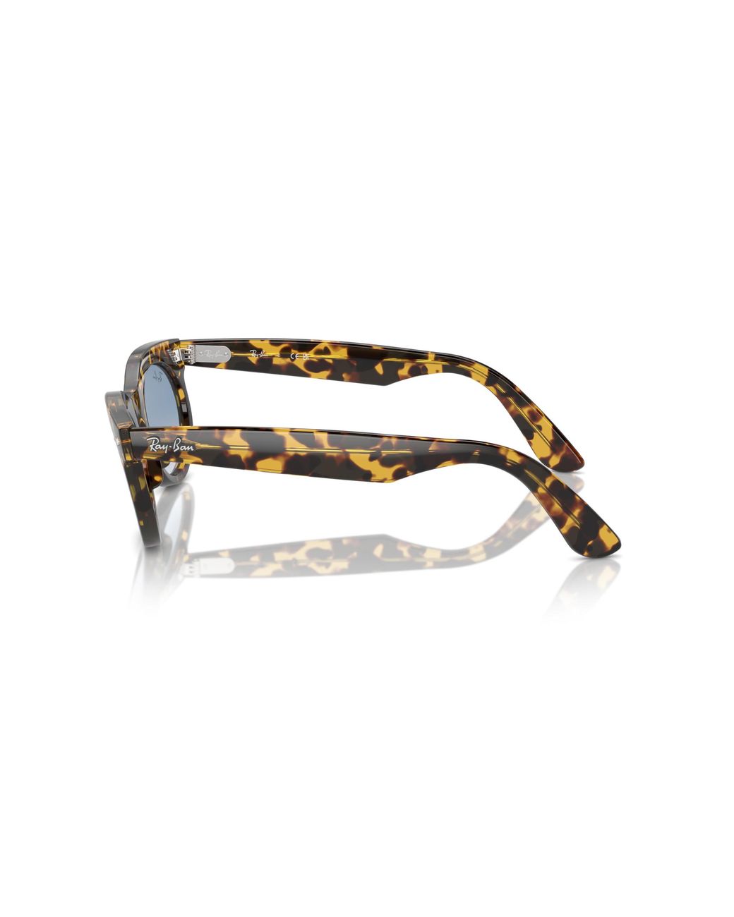 Ray-Ban Black Ray