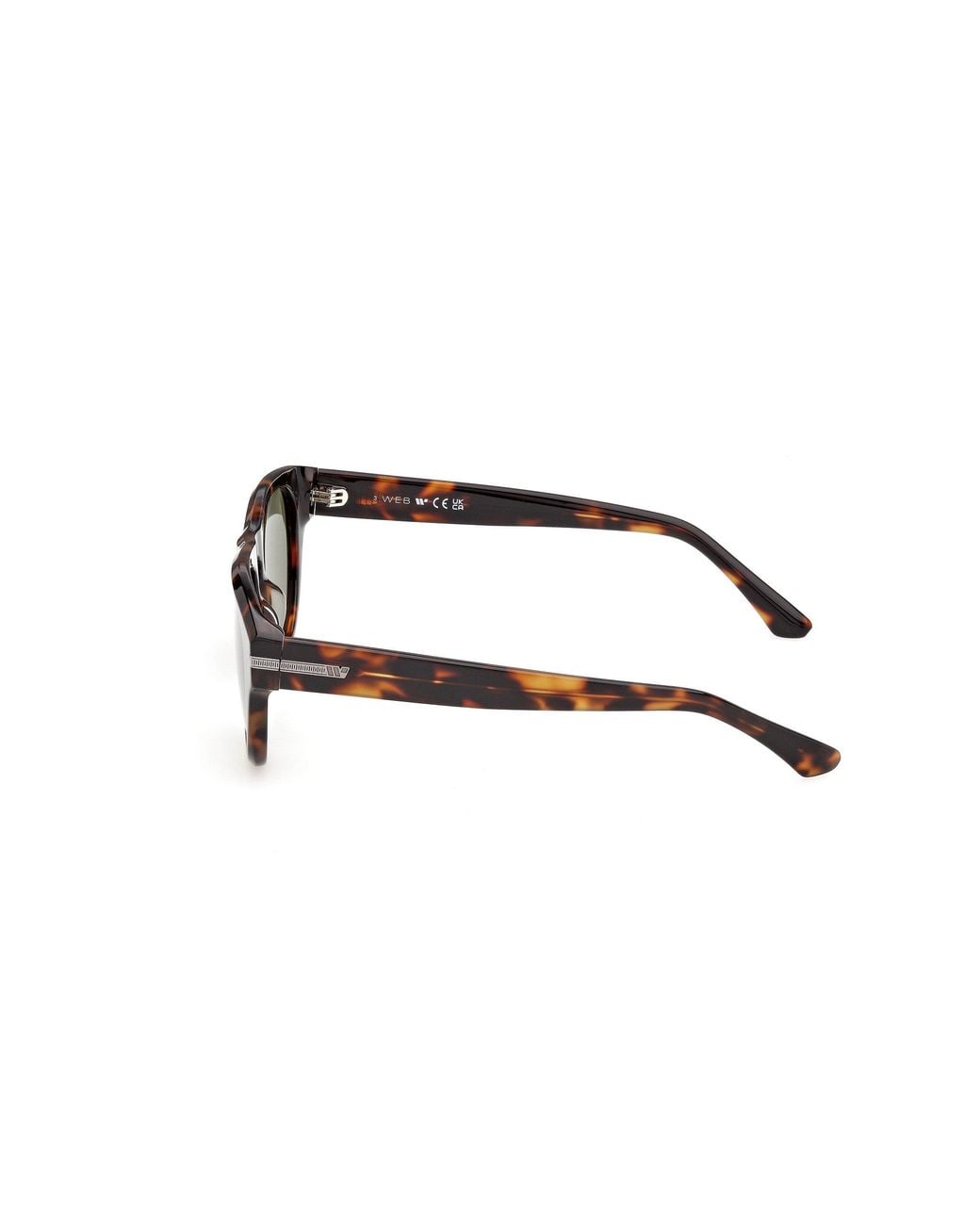 Web Green We0402 52N Sunglasses Acetate Round Normal for men