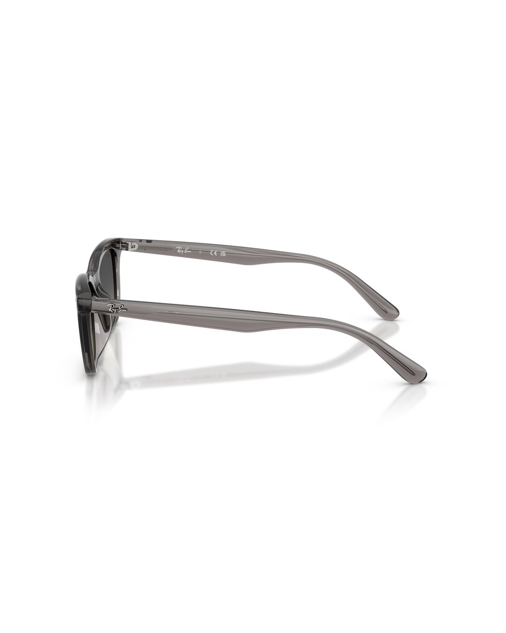 Ray-Ban Black Ray
