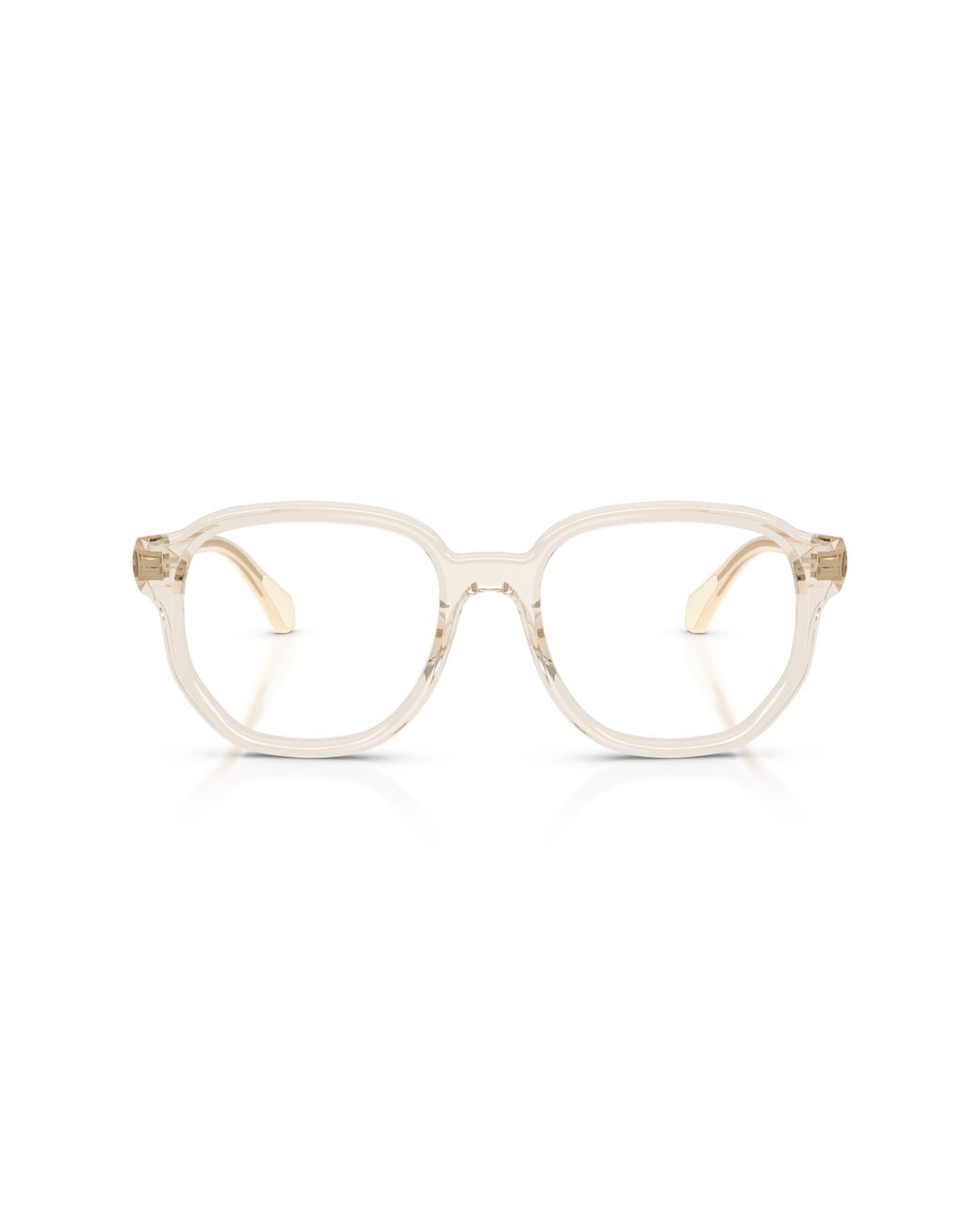 Moncler Black Me2027 3003 Optical Frames Acetate Transparent Pillow Normal