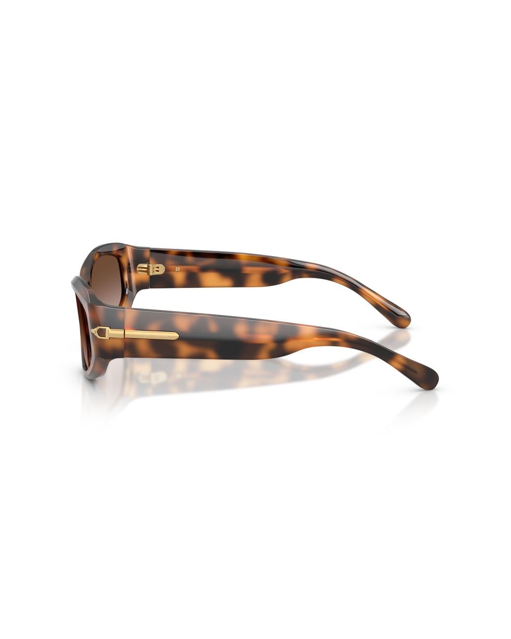 Ralph Lauren Black Rl8243U 608913 Sunglasses Acetate Geometric Normal Nuanced