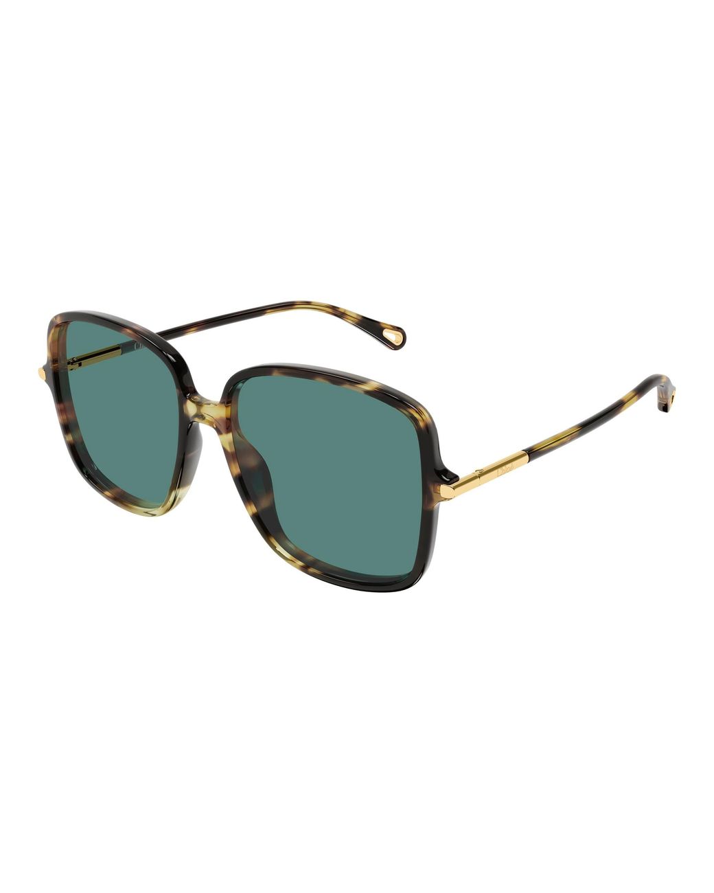 Chloé Black Ch0396S 002 Sunglasses Acetate Squared