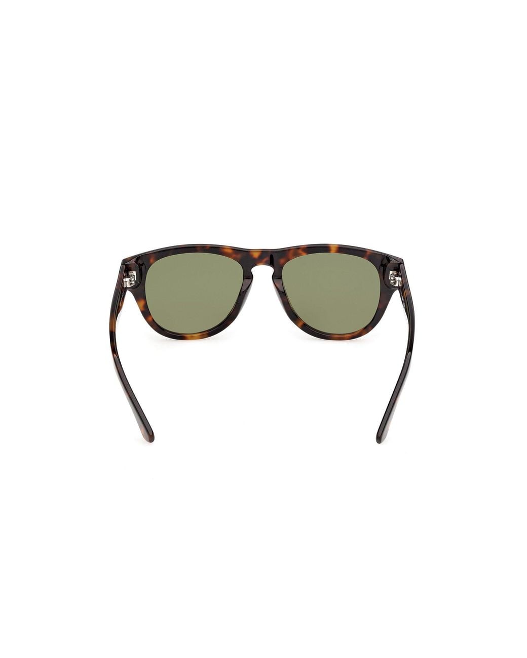 Web Green We0402 52N Sunglasses Acetate Round Normal for men