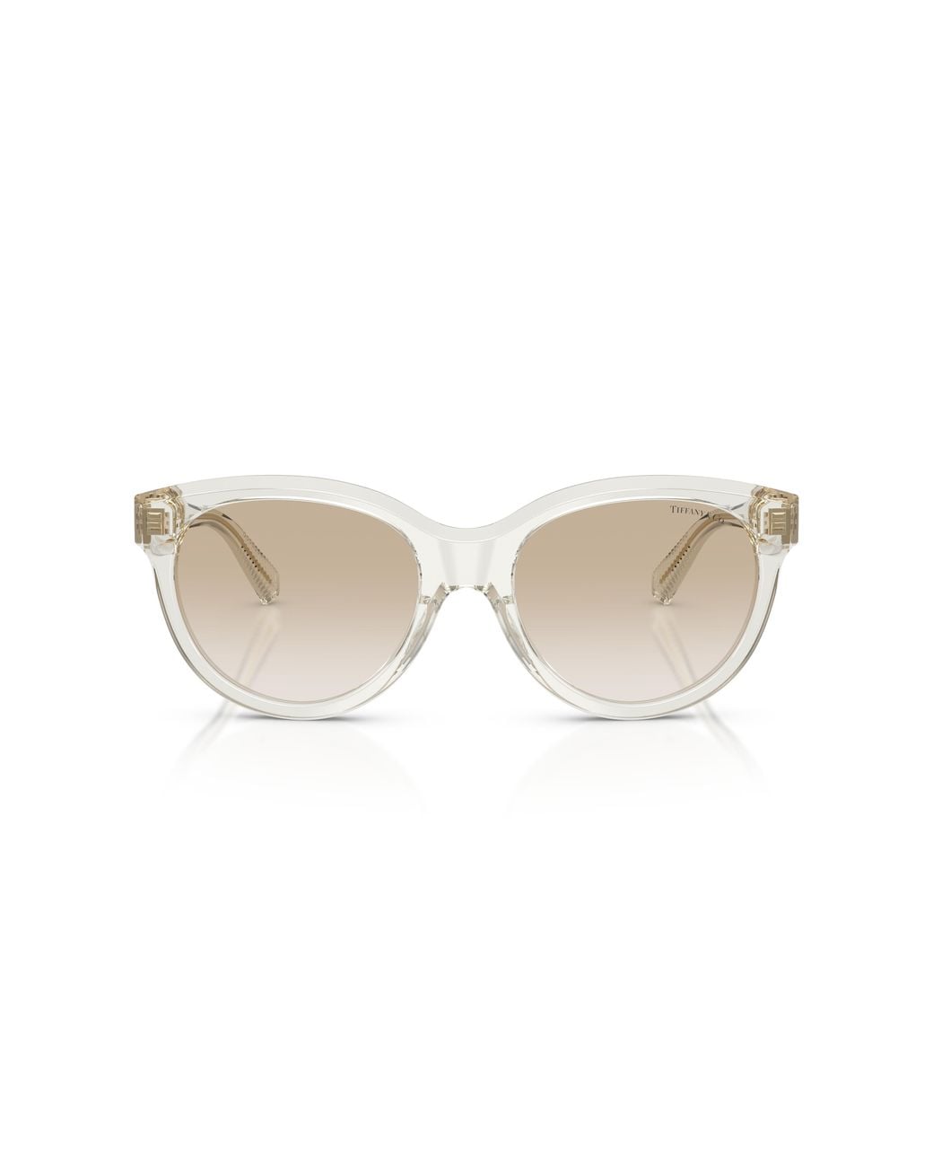 Tiffany & Co Black Tf4271 844511 Sunglasses Acetate Cat Eye Normal Nuanced