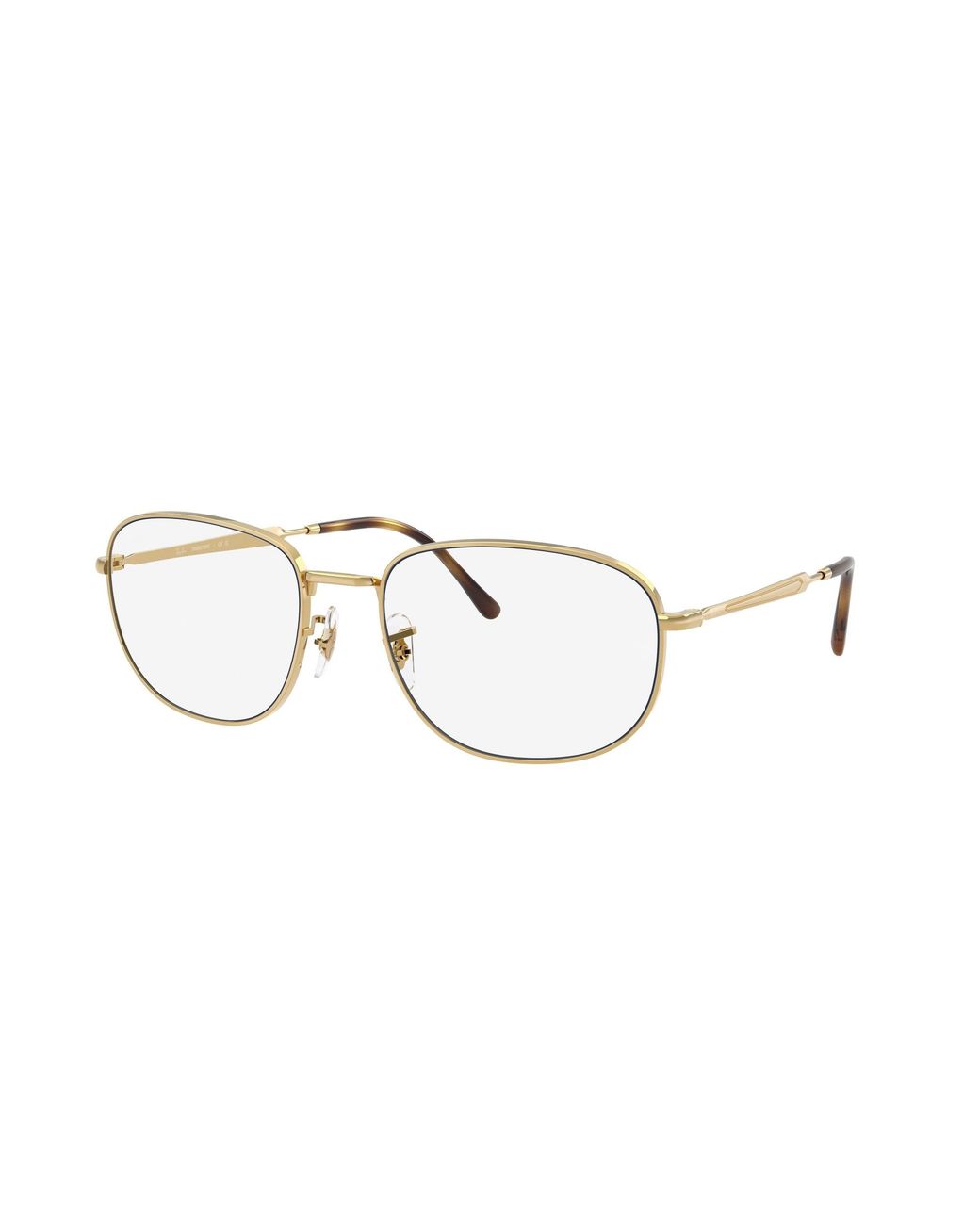 Ray-Ban Black Ray