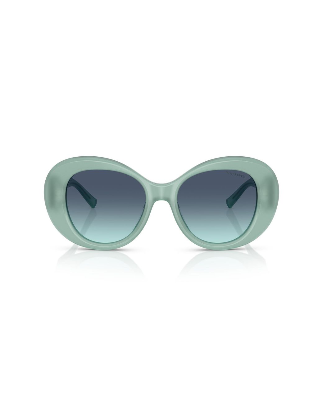 Tiffany & Co Black Tf4228 83739S Sunglasses Acetate Round Normal Shaded