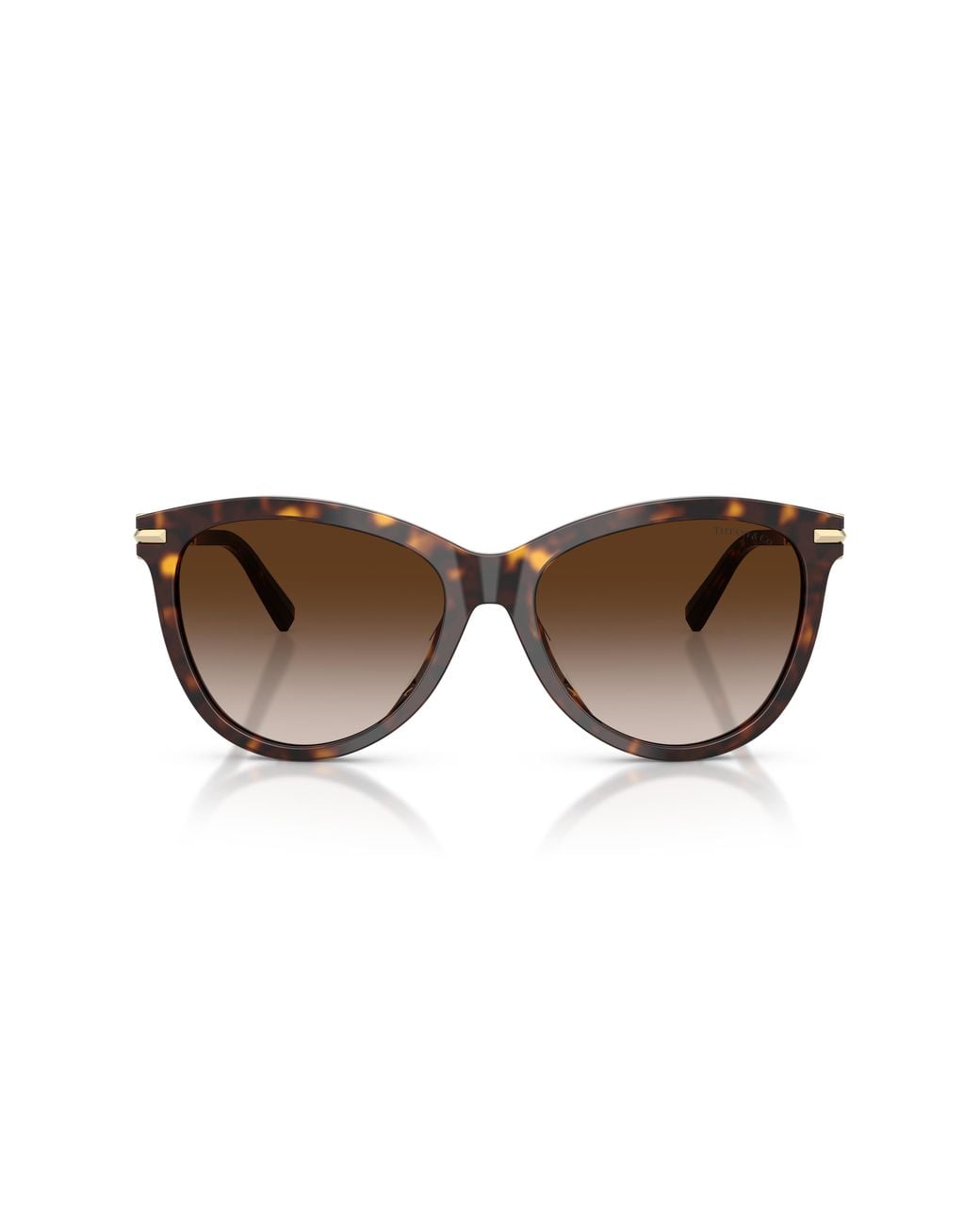 Tiffany & Co Black Tf4258Bu 80153B Sunglasses Acetate Pantos Normal Nuanced