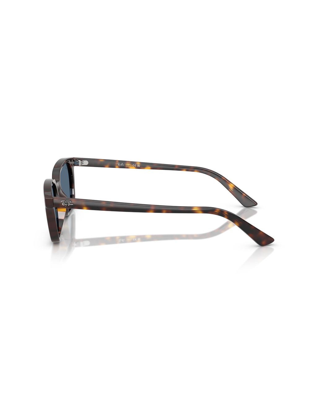 Ray-Ban Black Ray